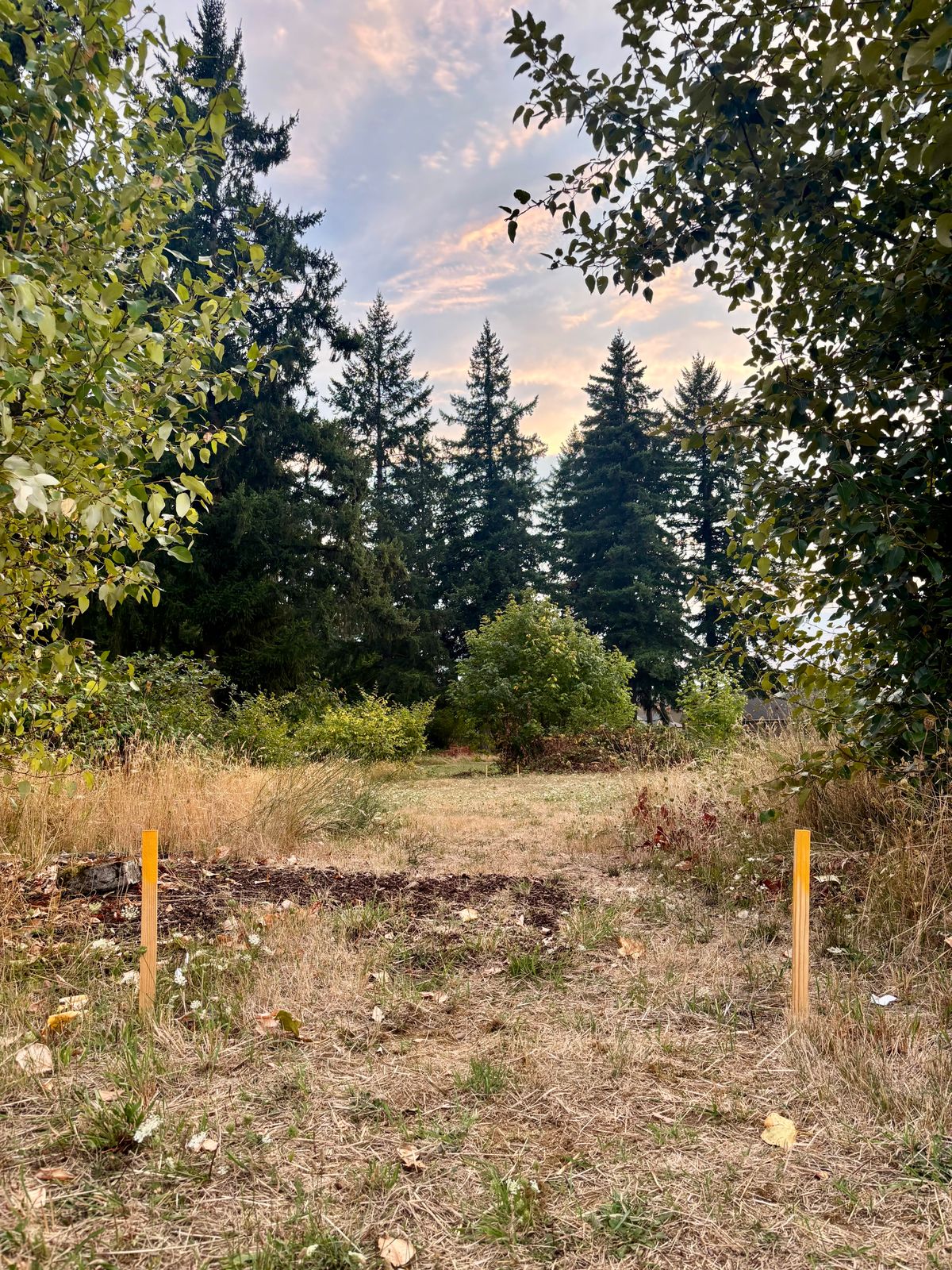 Hole 5 From Tee