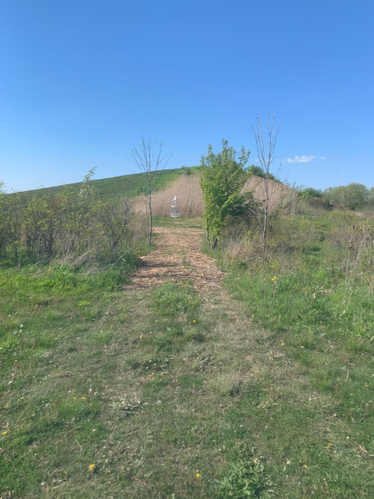 Hole 2 basket