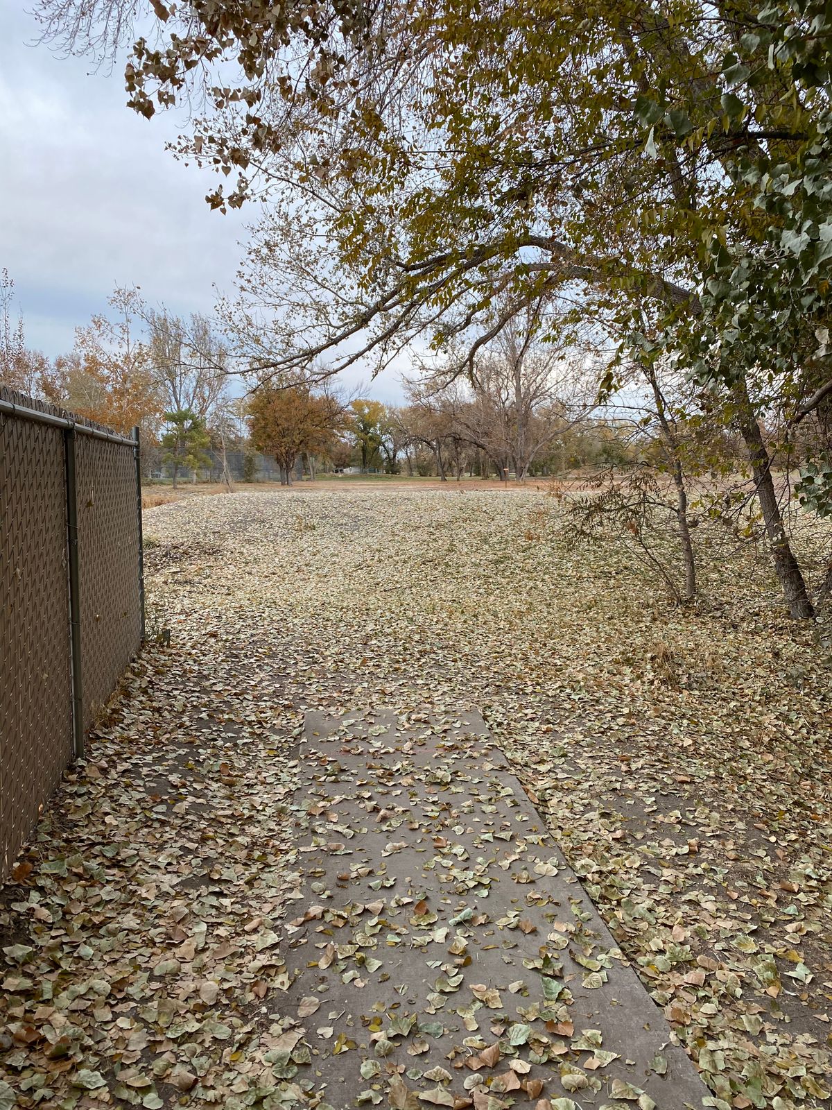 Hole 11 tee pad in the fall