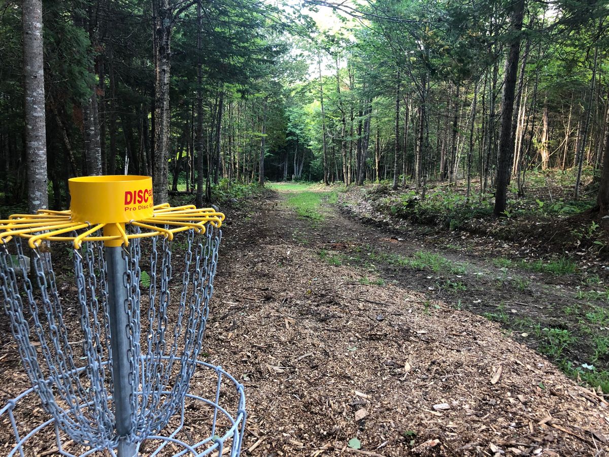 Hole #17 Basket