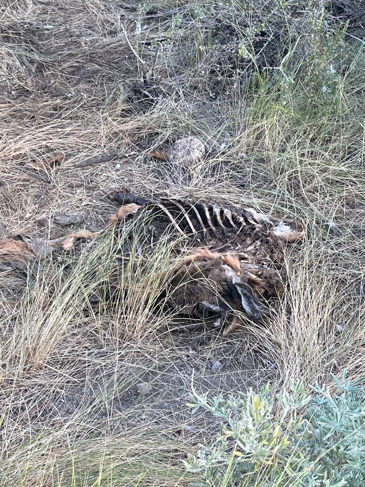 Found near hole 3.