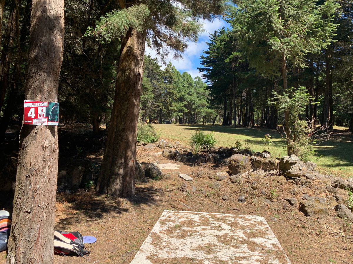 Hole #4 tee pad