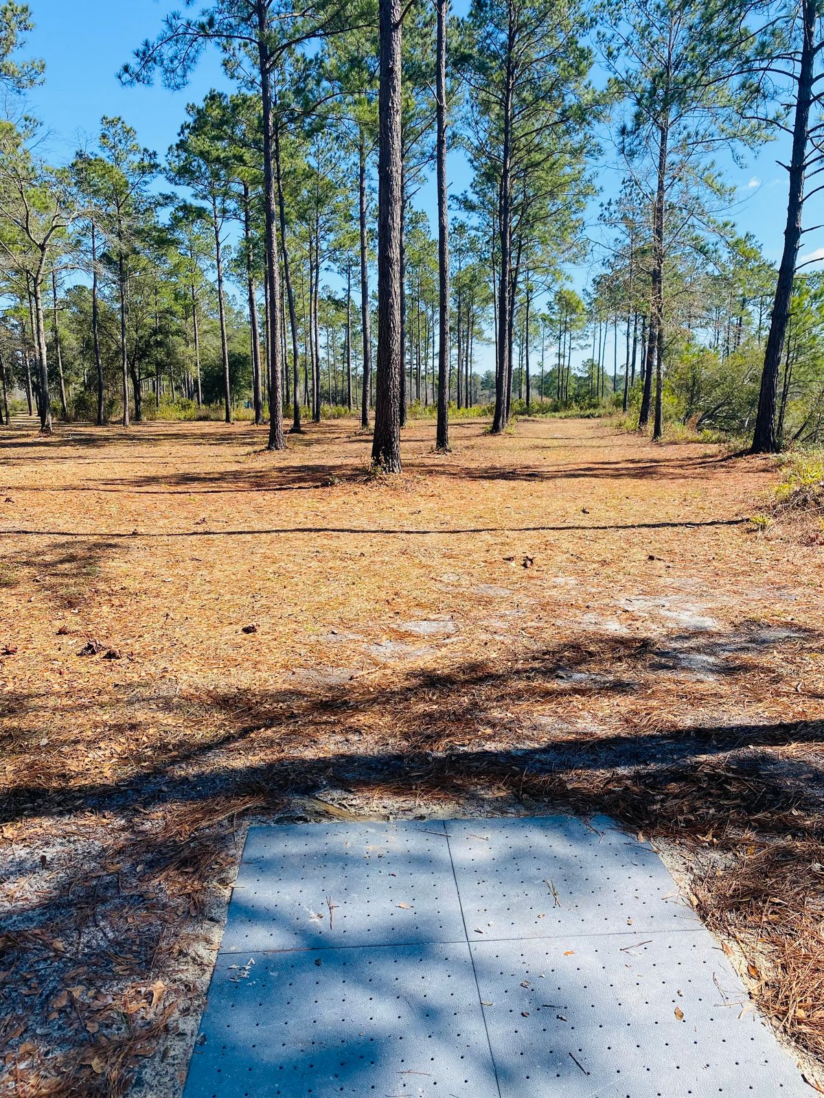 Hole 15