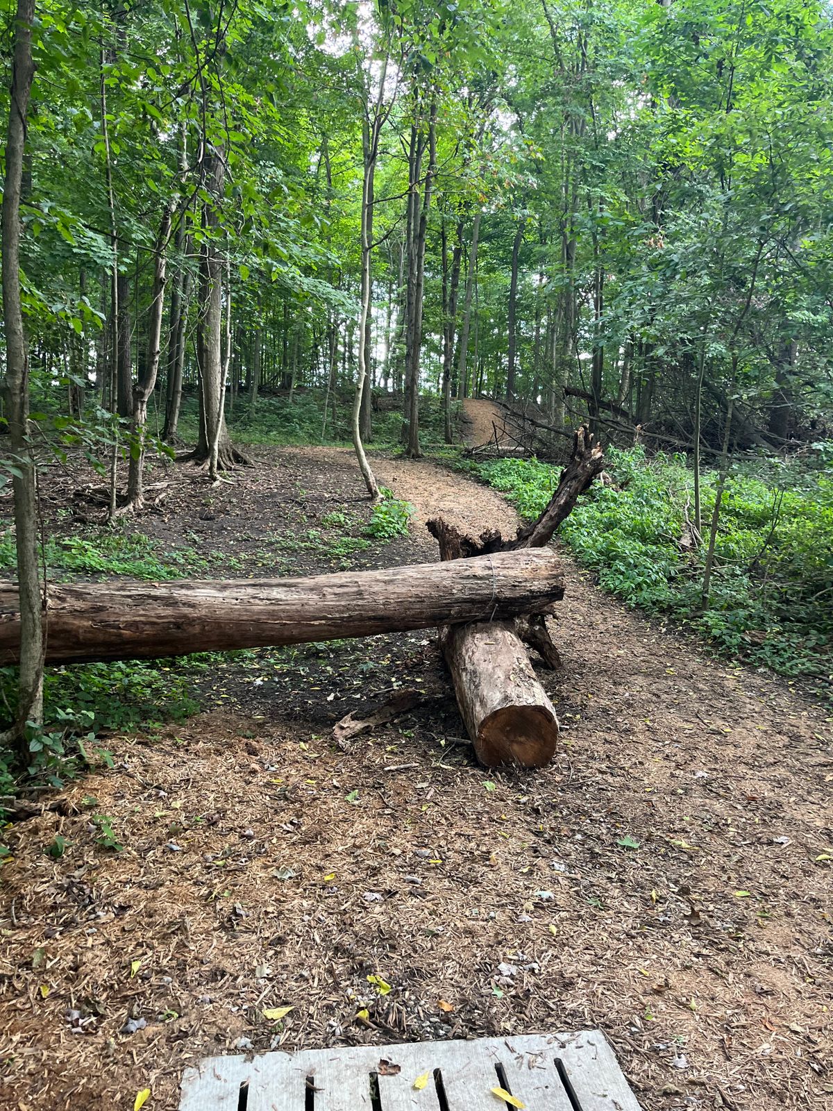 Hole 15