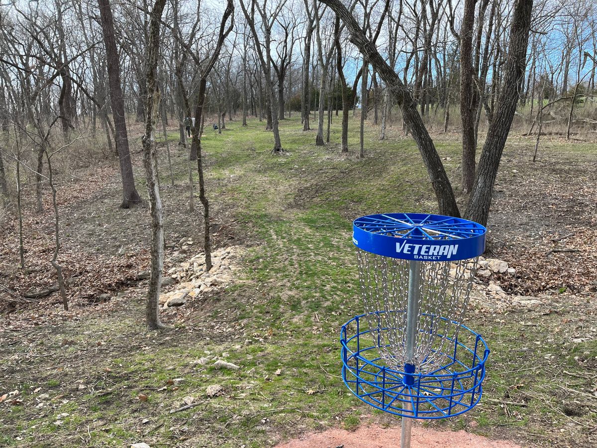 Hole 11 green back to tee