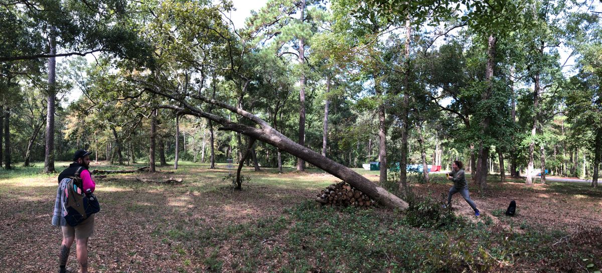 Hole 11 Green - Splinter City