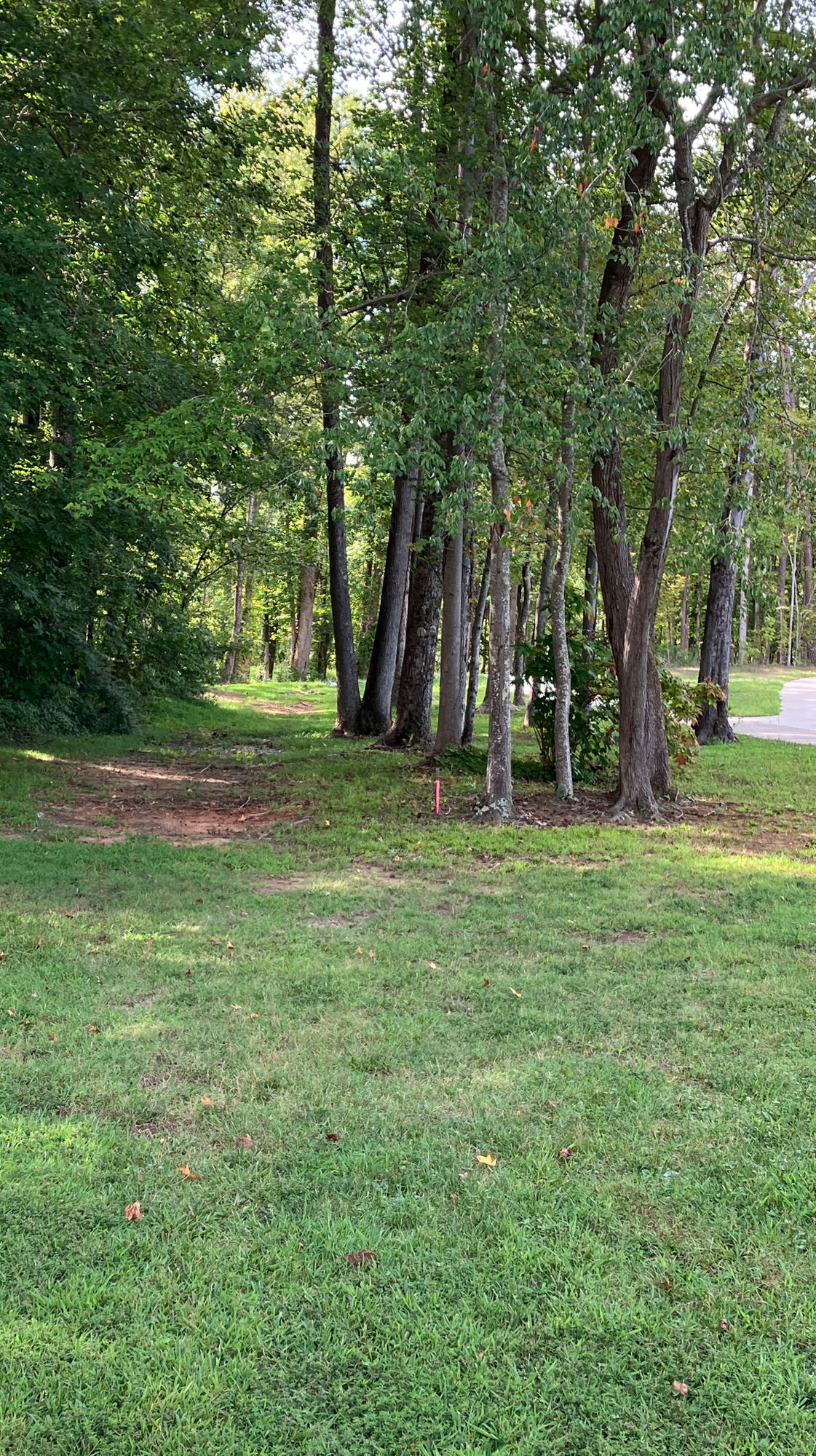 Hole 8, 242 ft. dogleg left