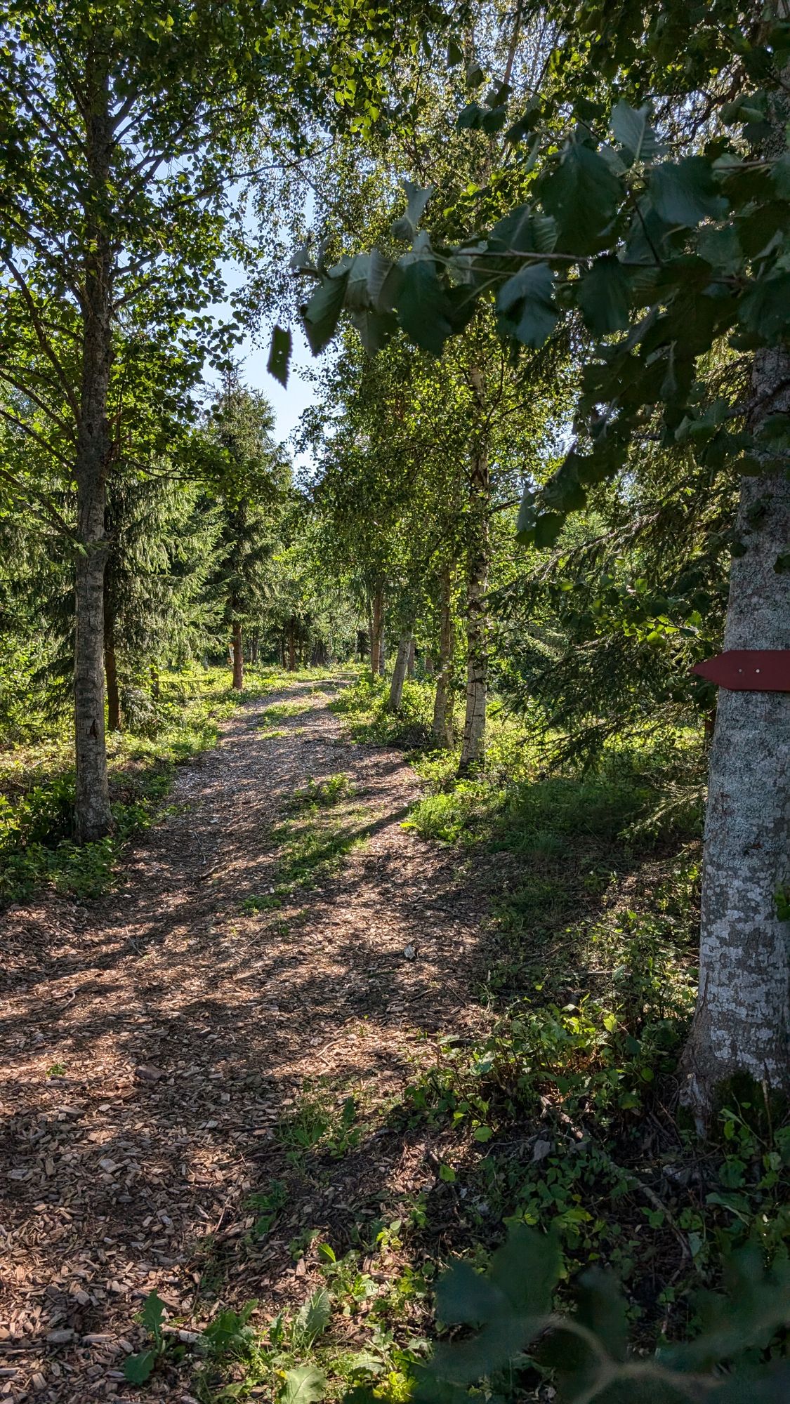 Hål 8 dubble Mando