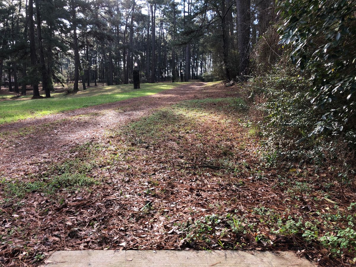 Hole 7 long tee