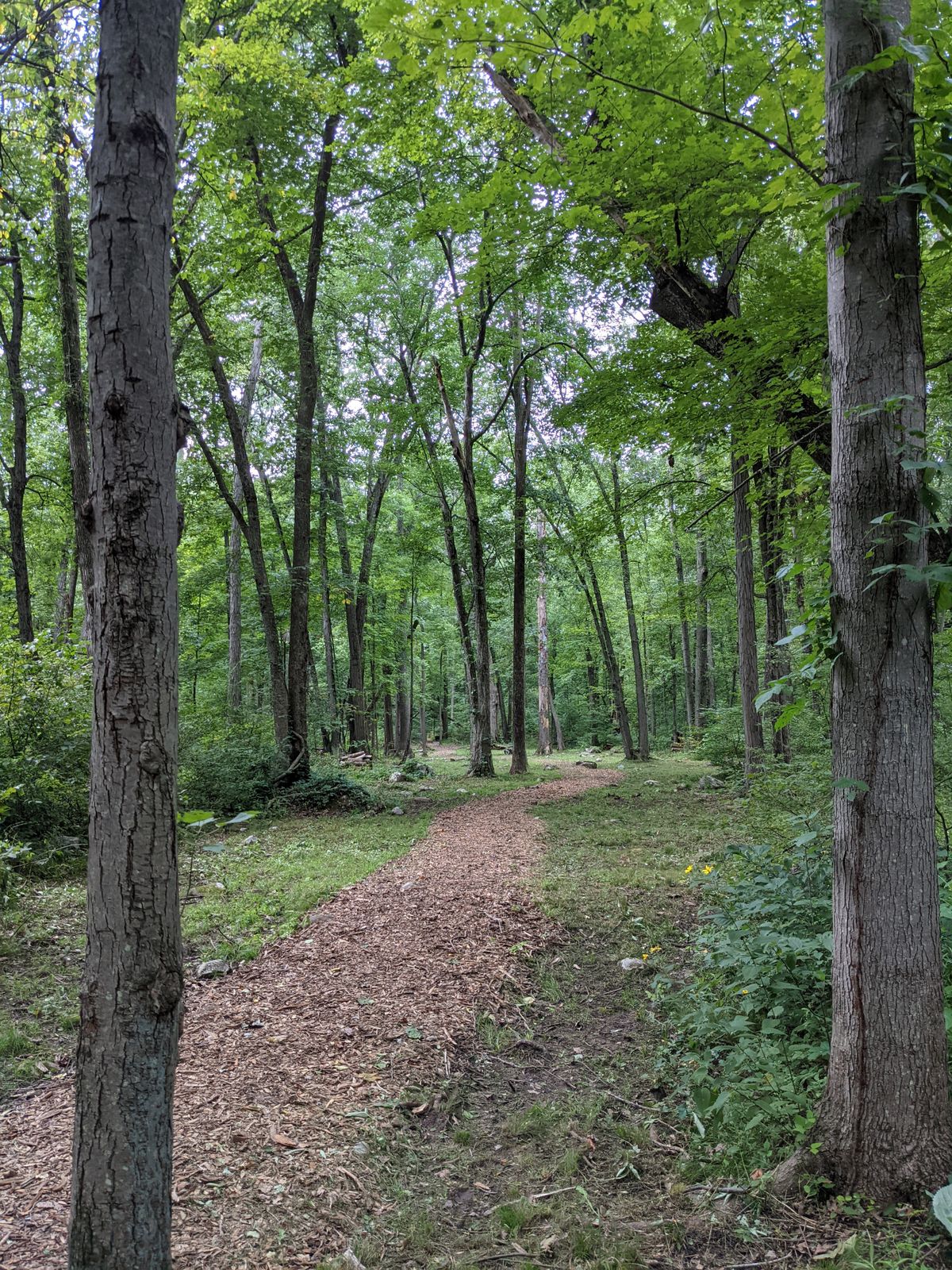 Hole 15