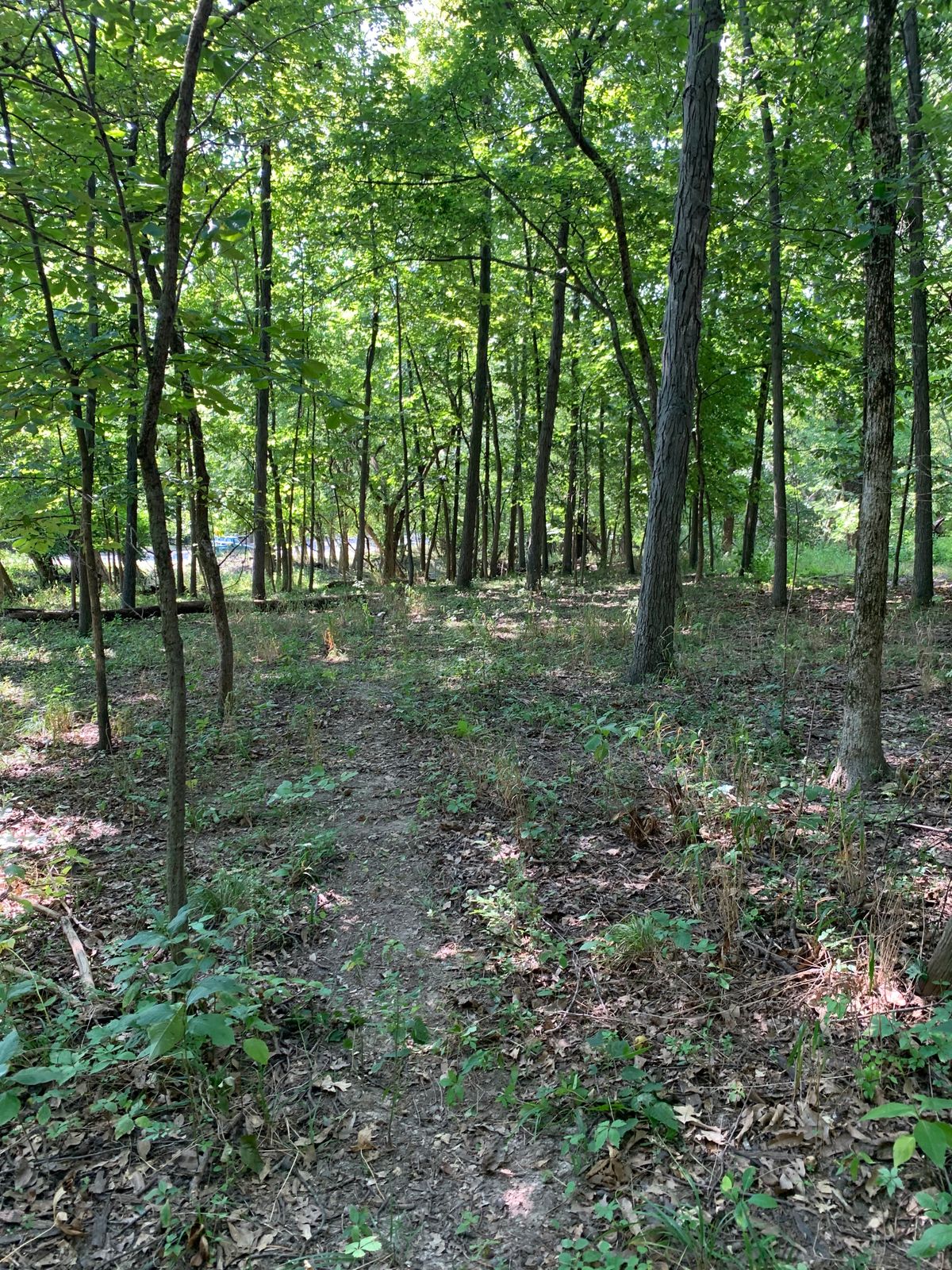 Hole 4
