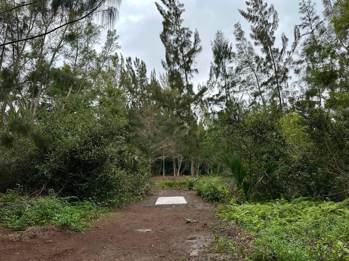 Hole 16 Long Pad