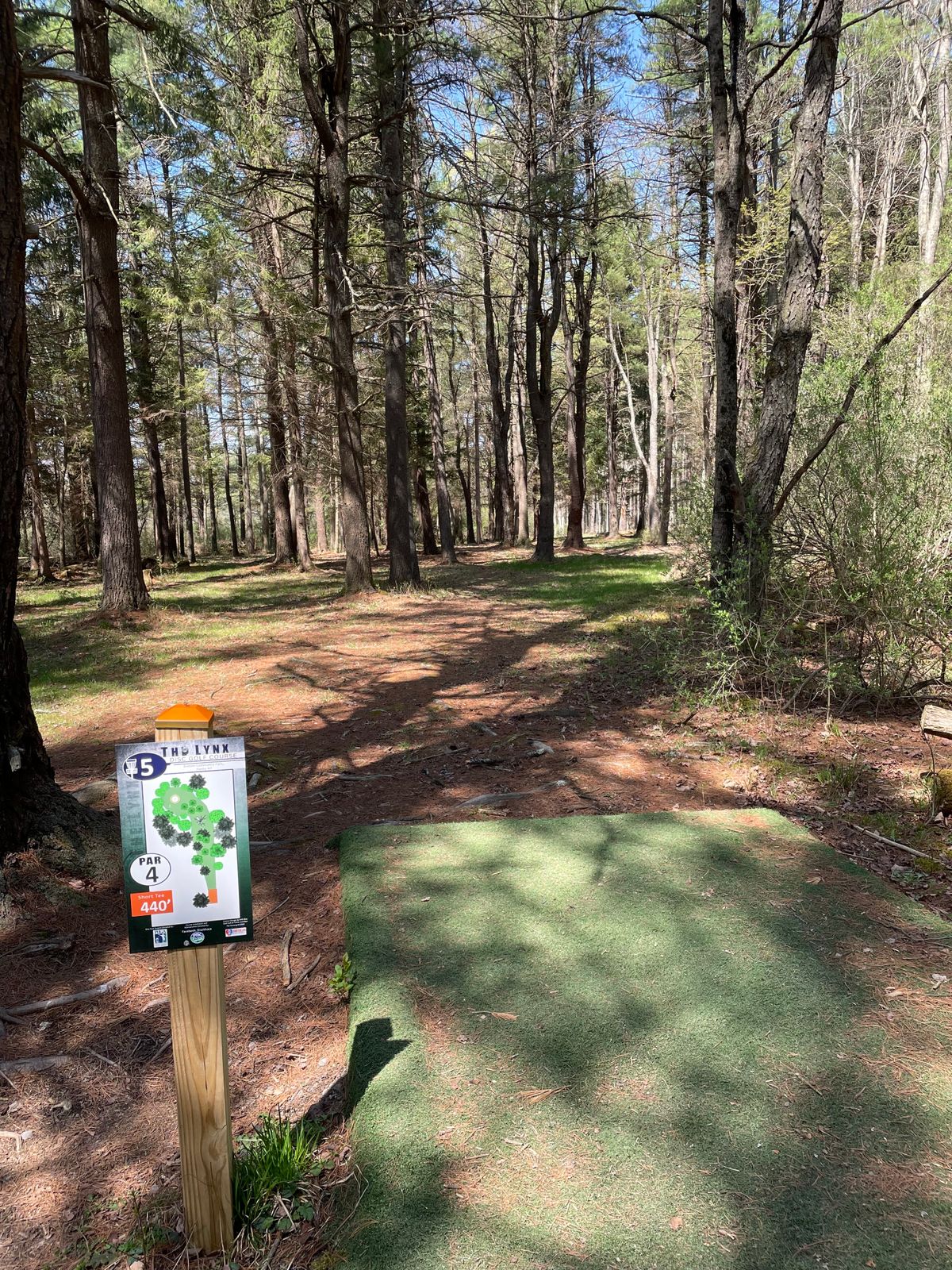 Hole 5, Orange (Short) tee.