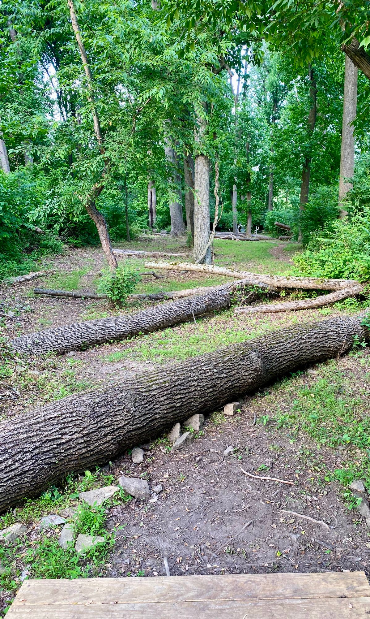 Hole 15