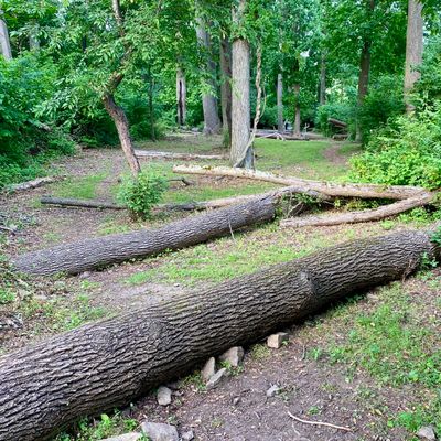 Hole 15