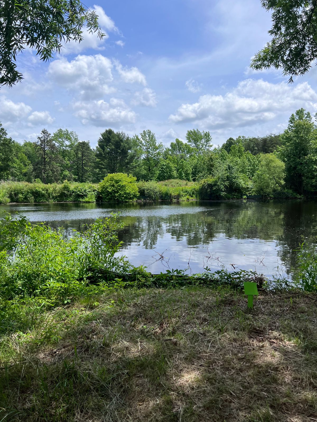 Hole 9 tee