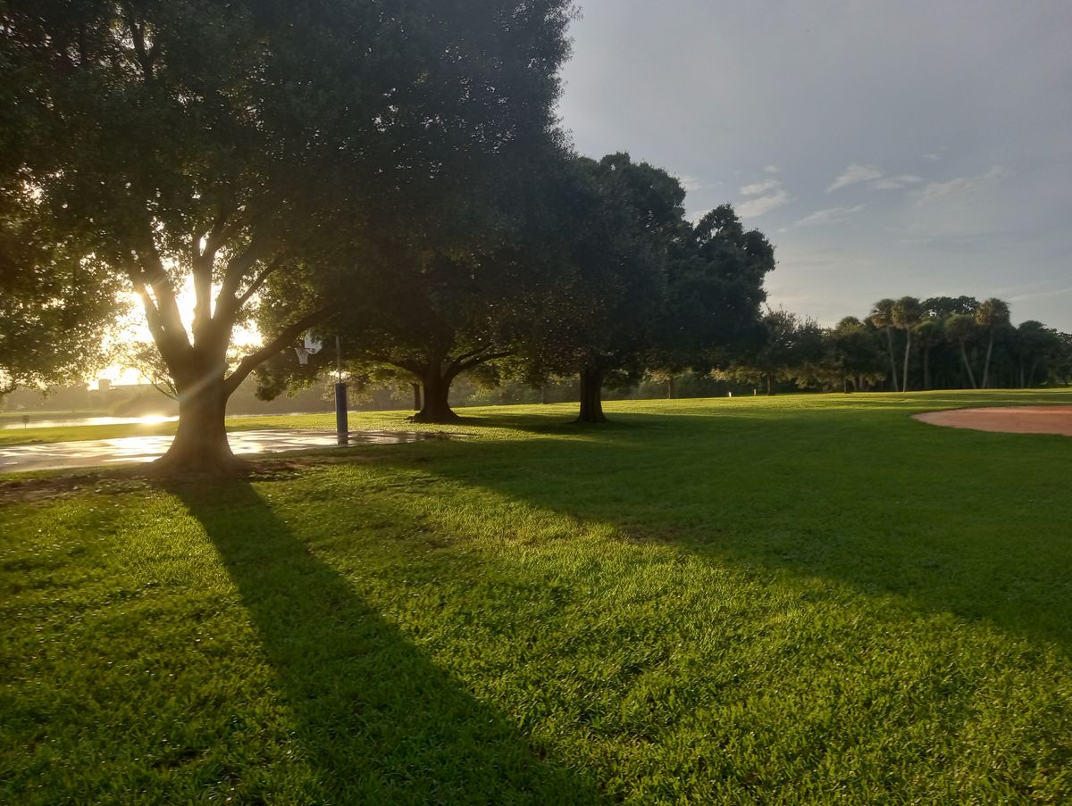 After a rain shower.