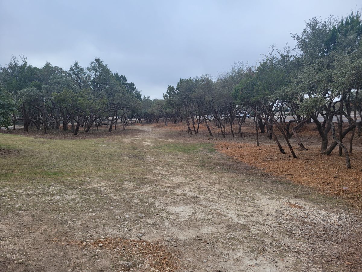 New, cleared hole #14!