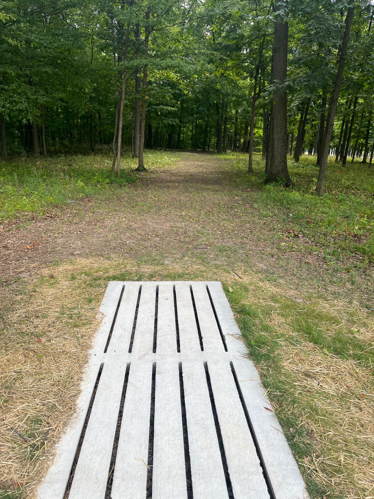 Hole 1