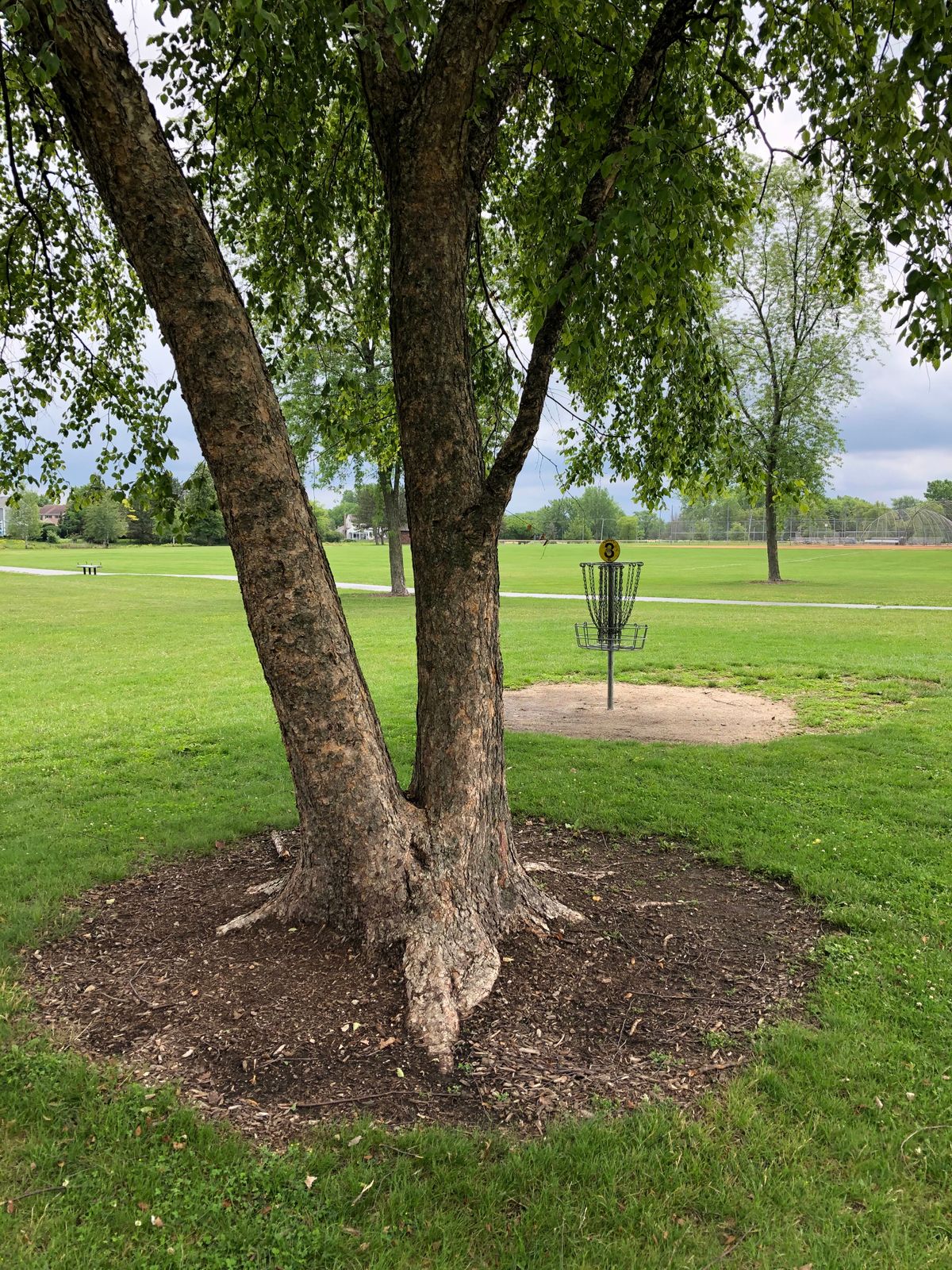 3rd hole