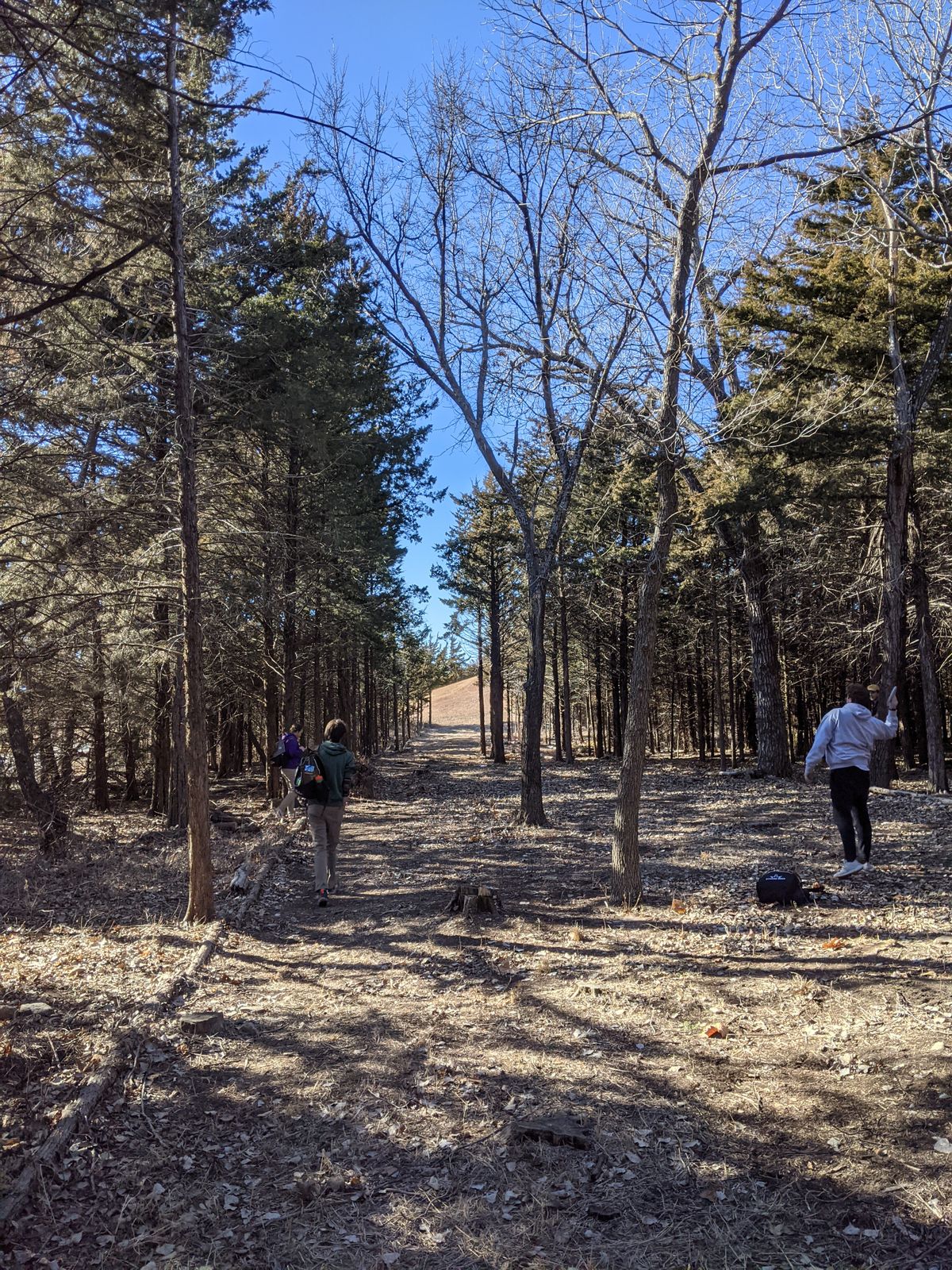 7's fairway through the woods. It has been cleaned up nicely!