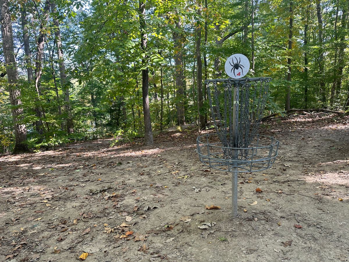 Hole #4 basket