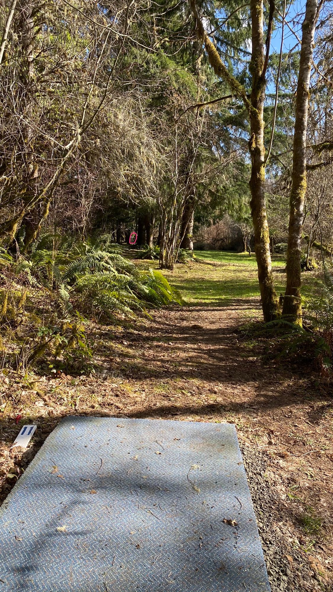 Hole 11.
