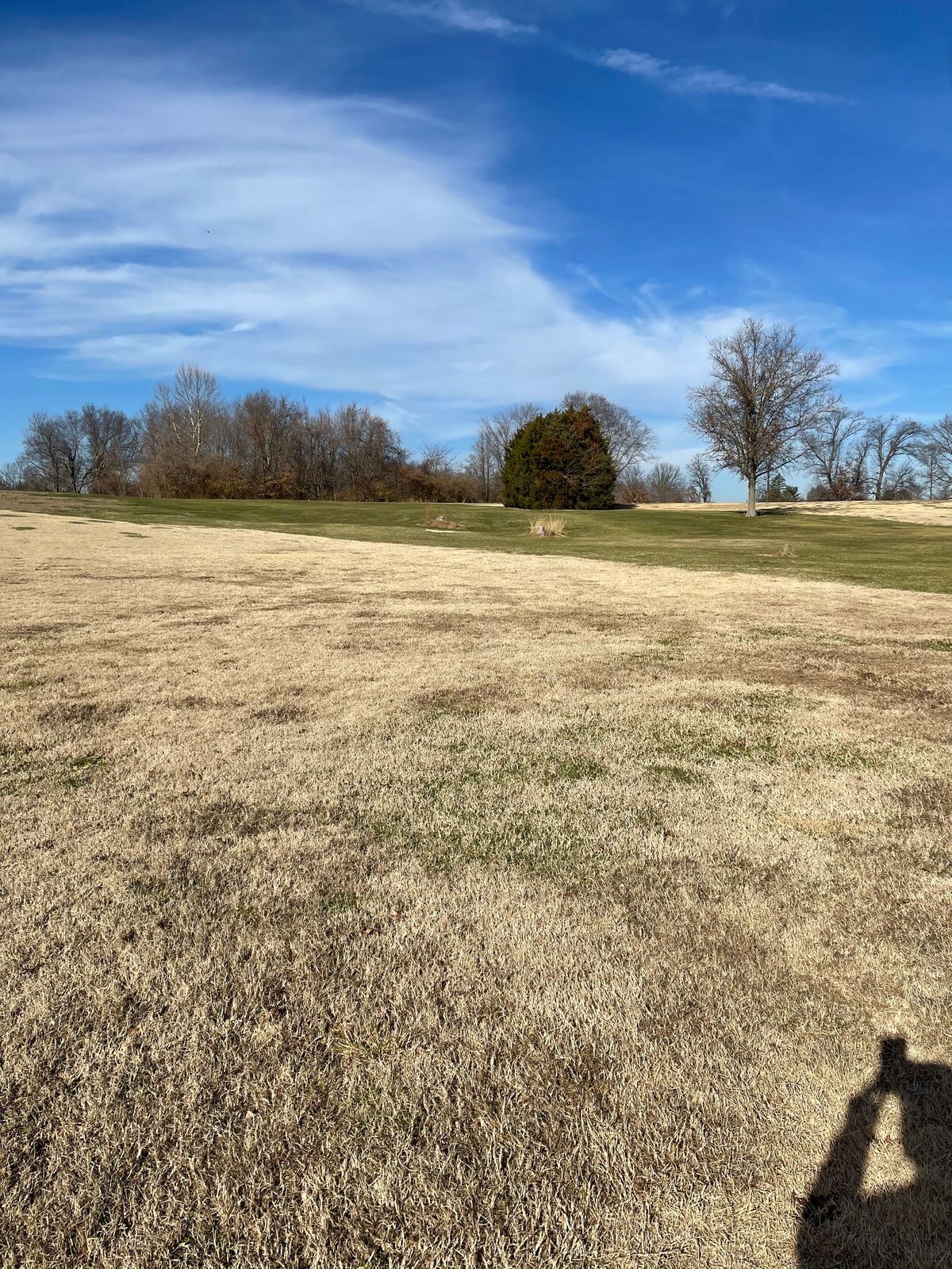 Hole 7s tee view