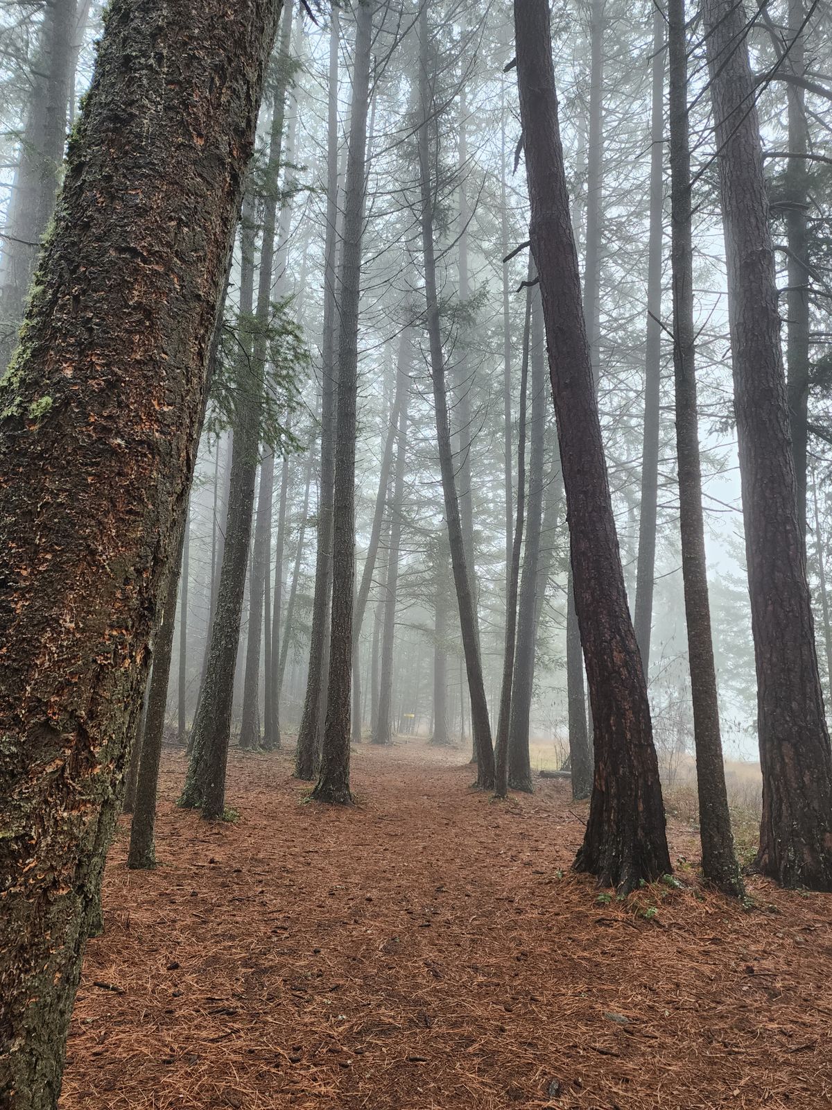 Hole 13
