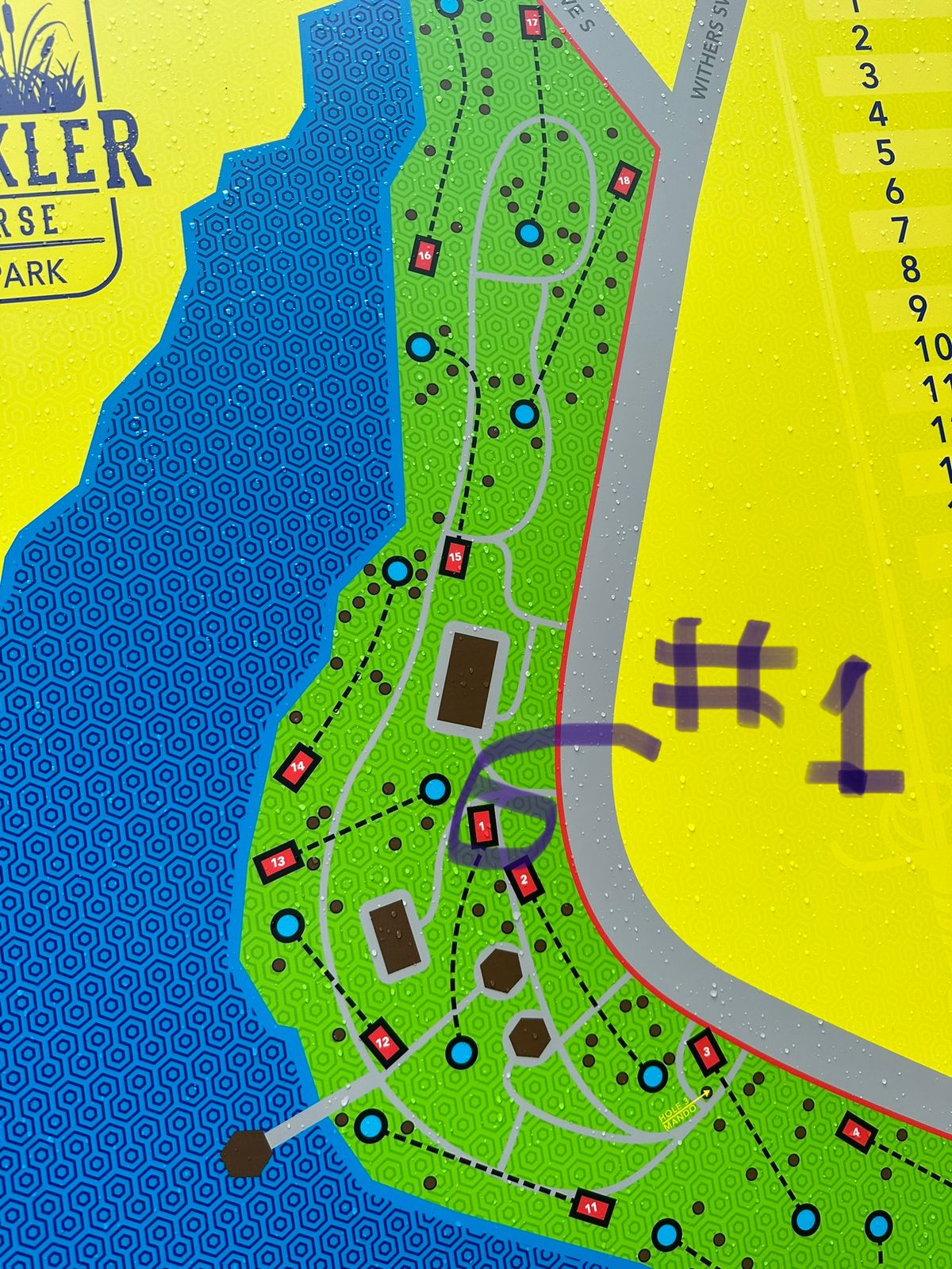 Hole 1 starts at the middle of the park.  Highlighted.