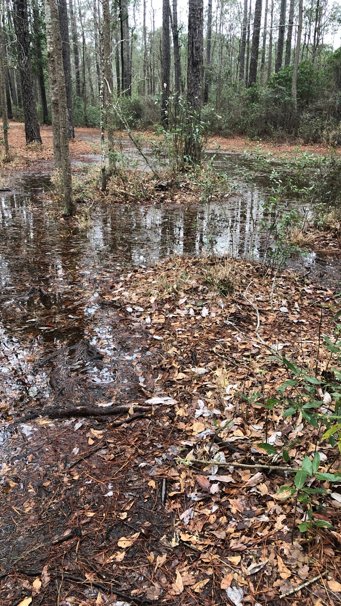 Hole 17 fairway