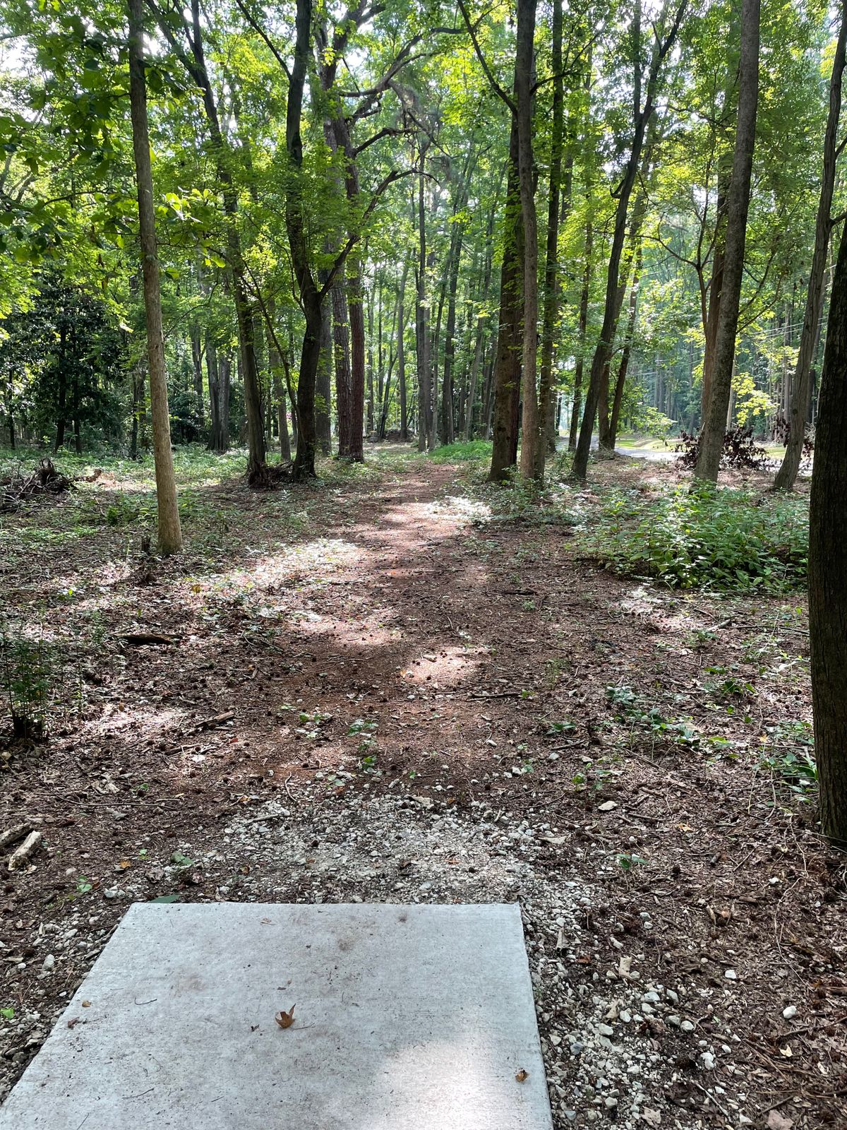 Hole #4 From The Tee Pad