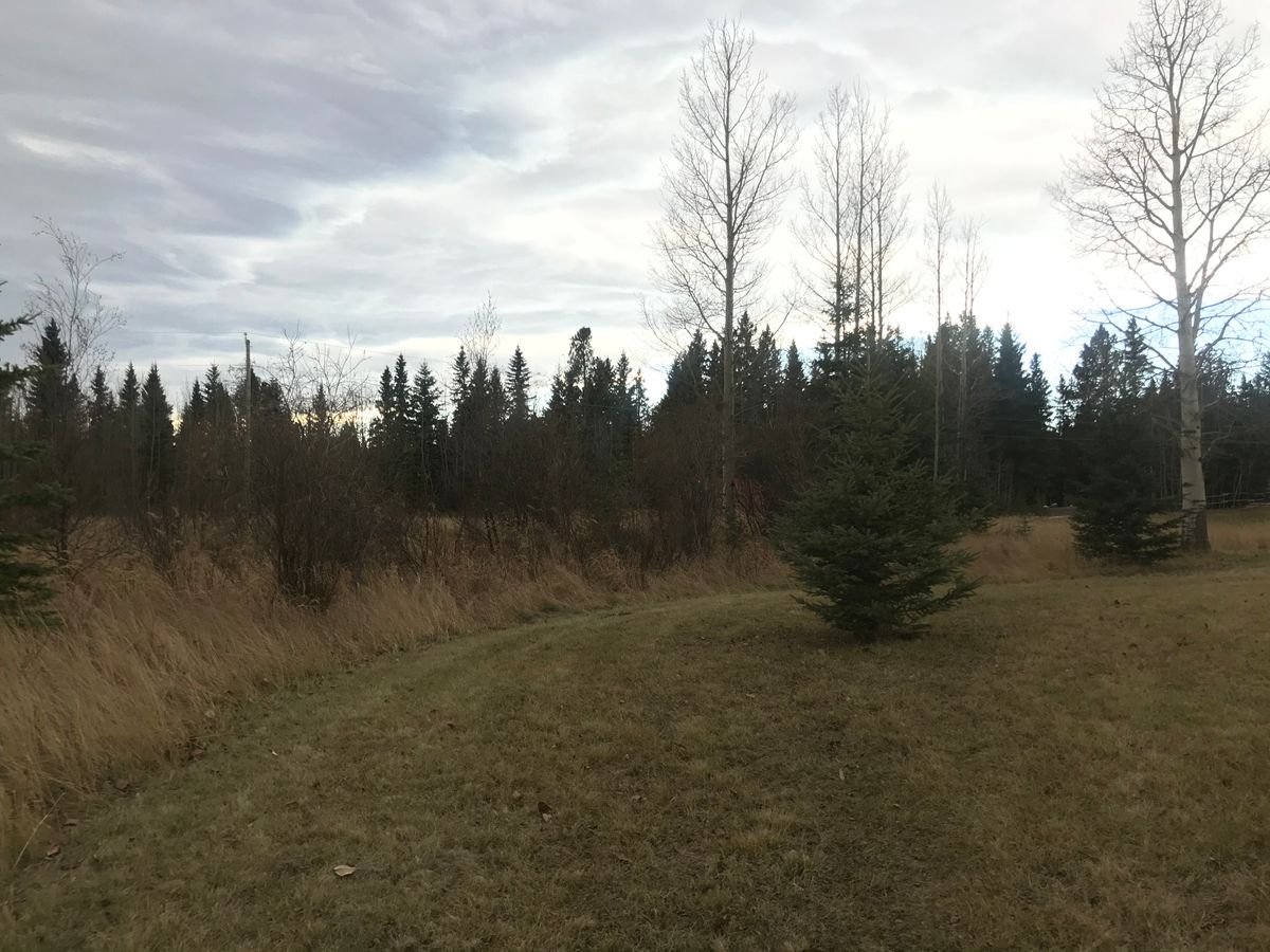 The typical transition from fairway to rough to forest