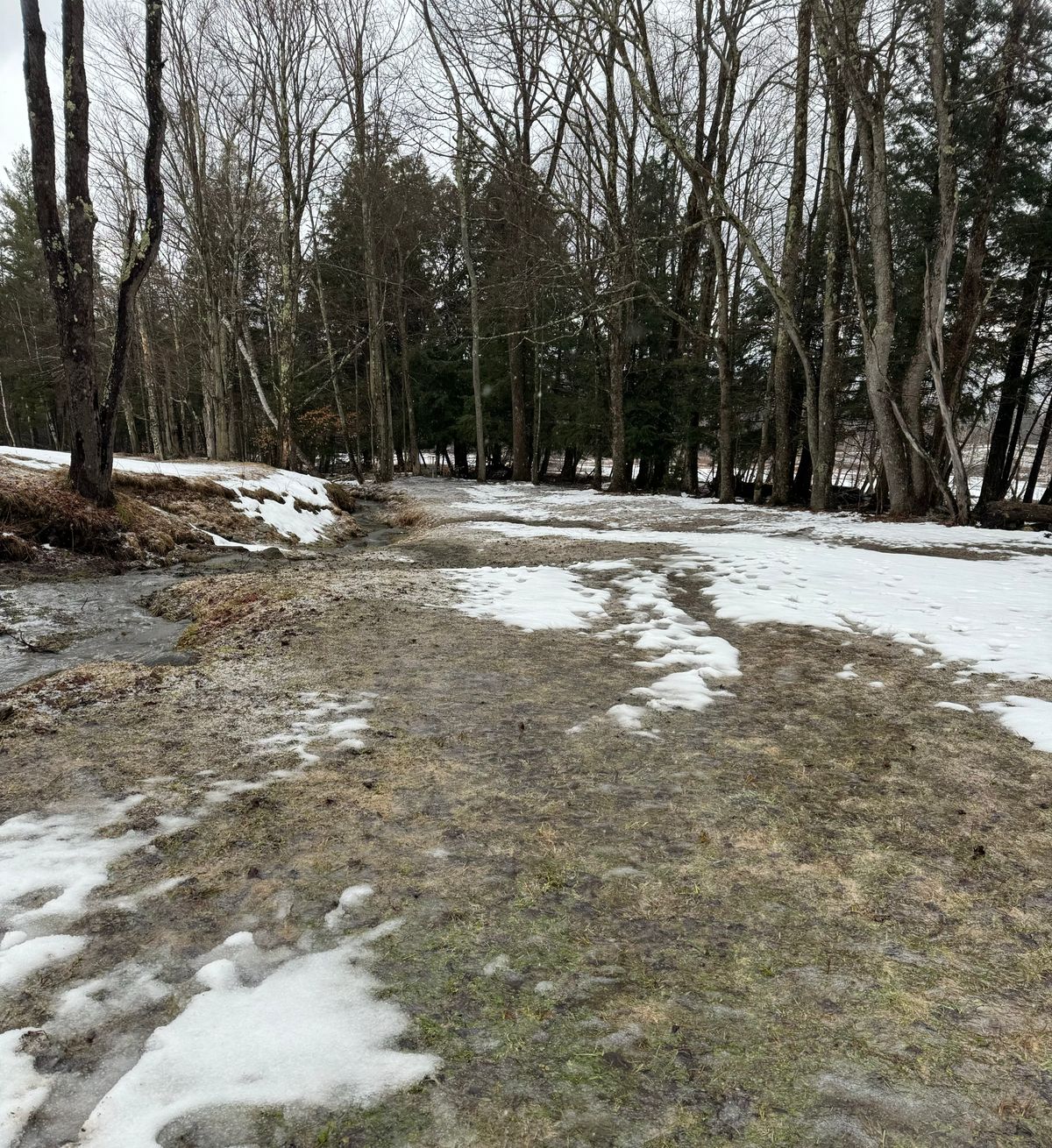 Hole 8