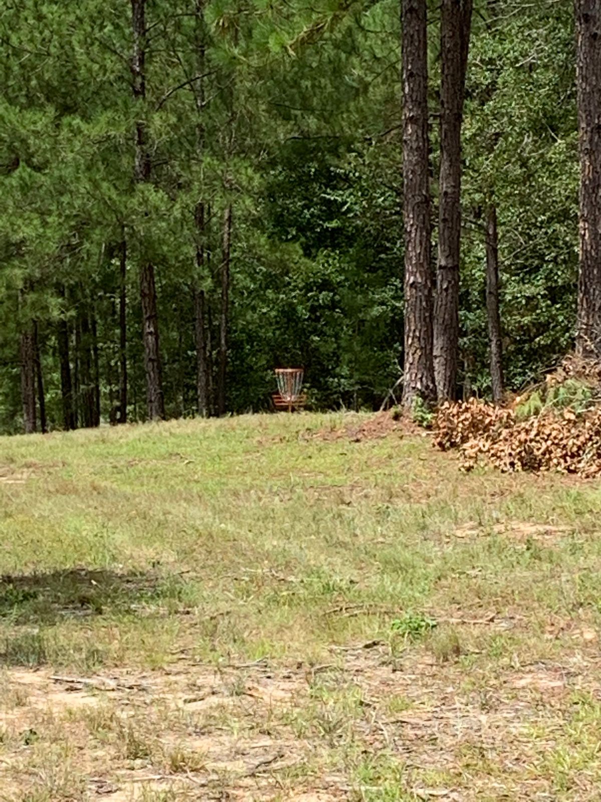 Fairway approach on hole 7, orange basket
