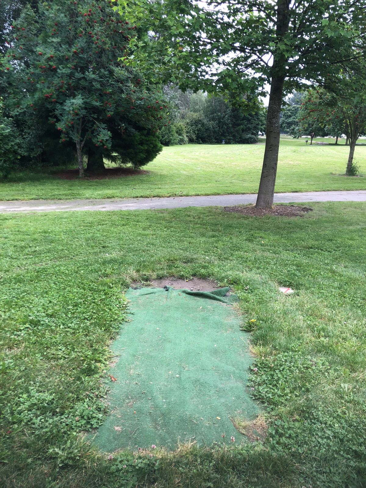 Hole 7