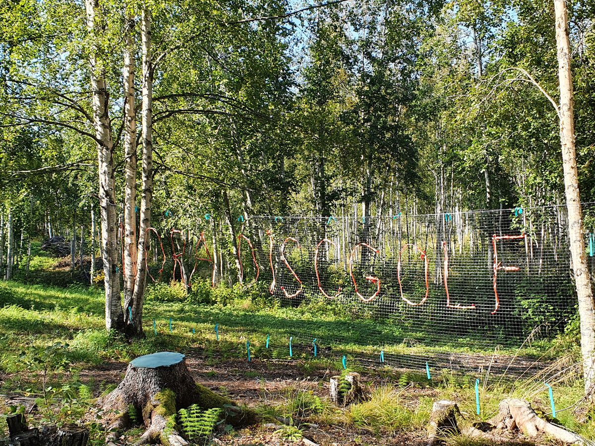 Välkomna till Nora Discgolf - alltid öppet.