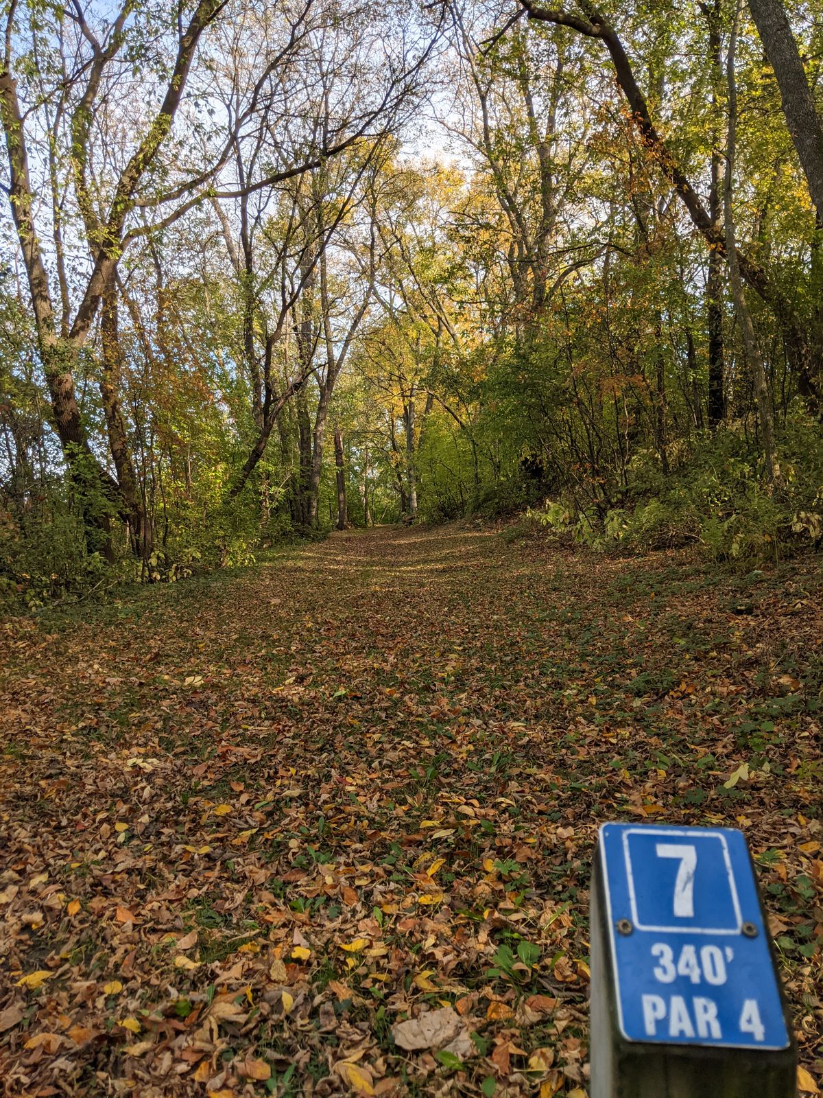 Hole 7