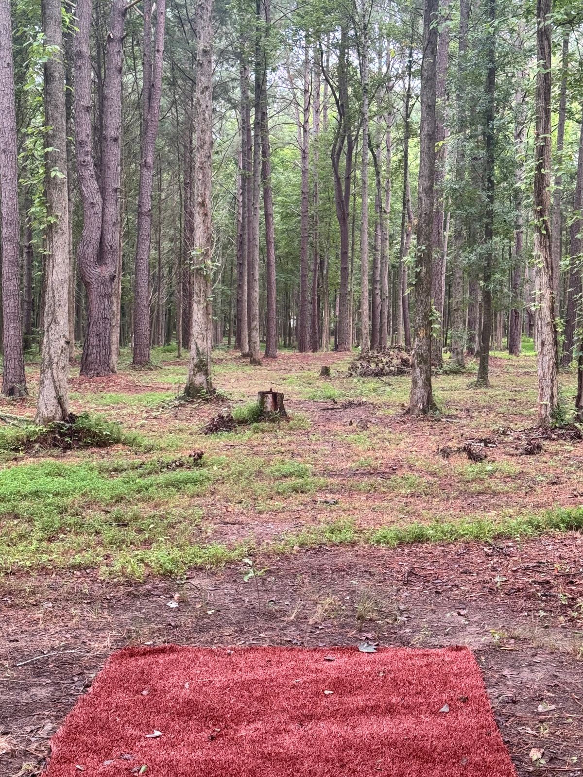 Hole 8