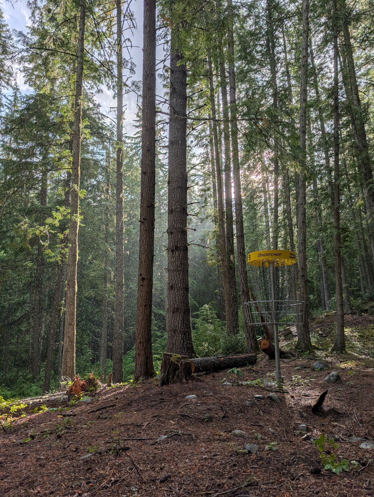 Sun through the rain at hole 9!