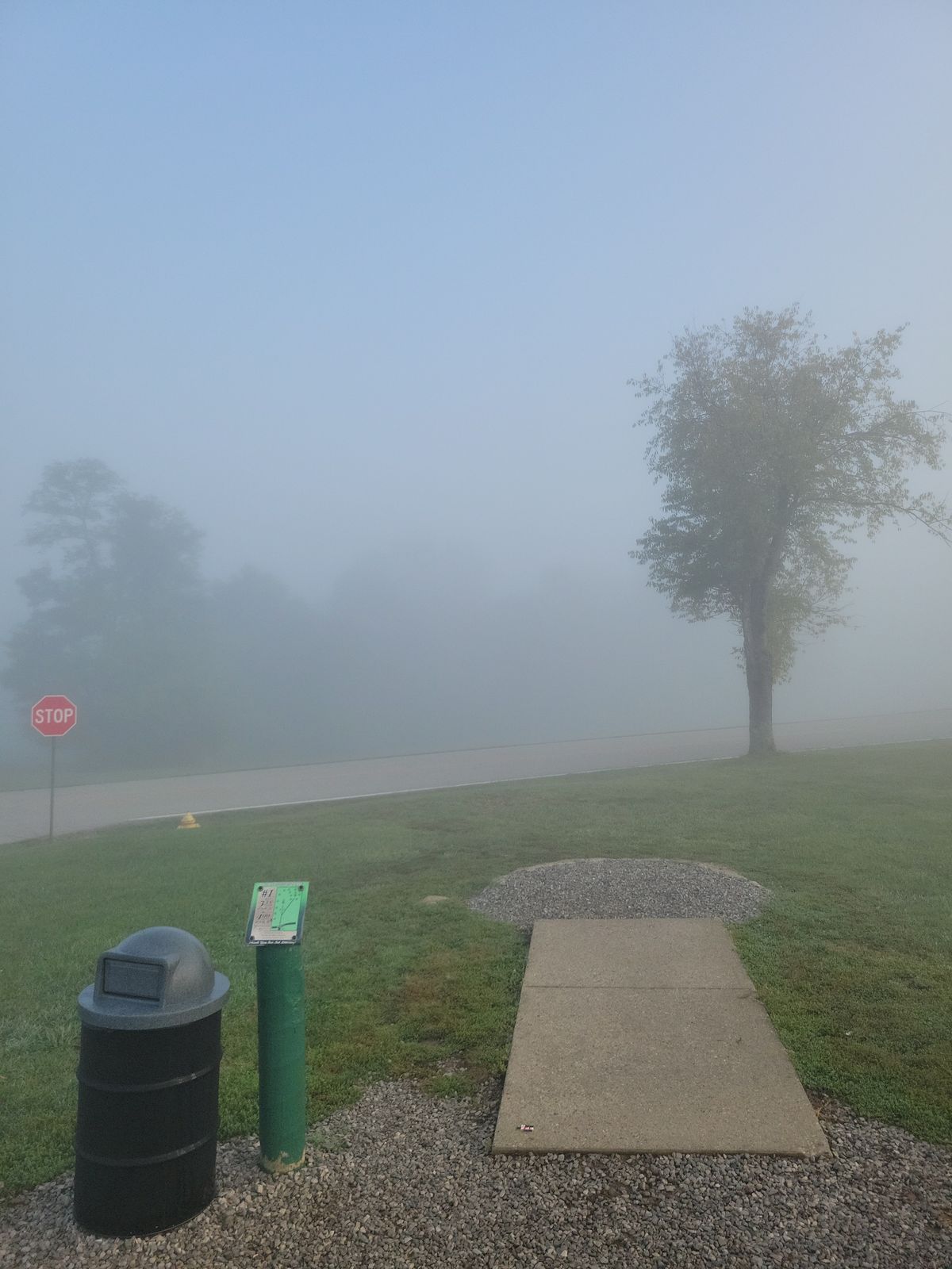 Foggy conditions on tee 1