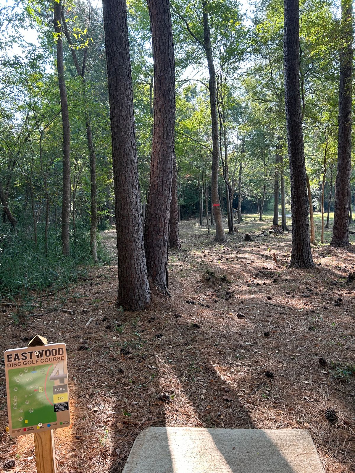 Hole 4 Tee