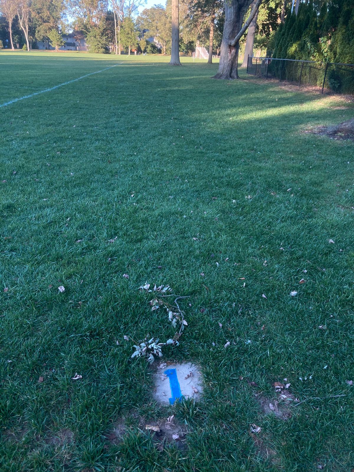No tees, just markers
