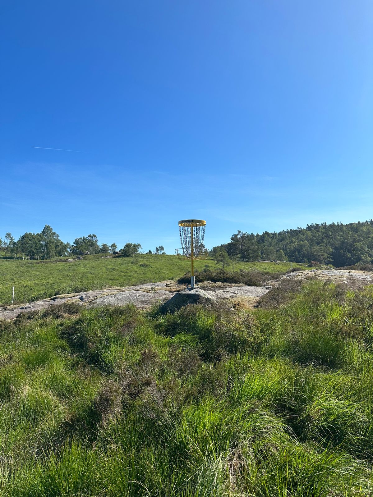 Gold basket Hole 13
