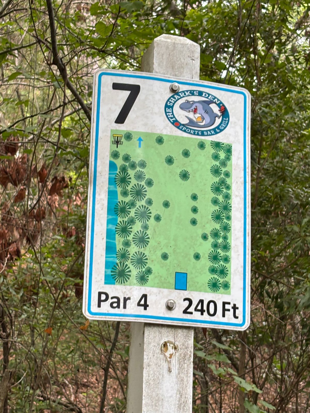 Hole 7 - Par 4 - 240 Ft - The 2nd and final Par 4 on the course
