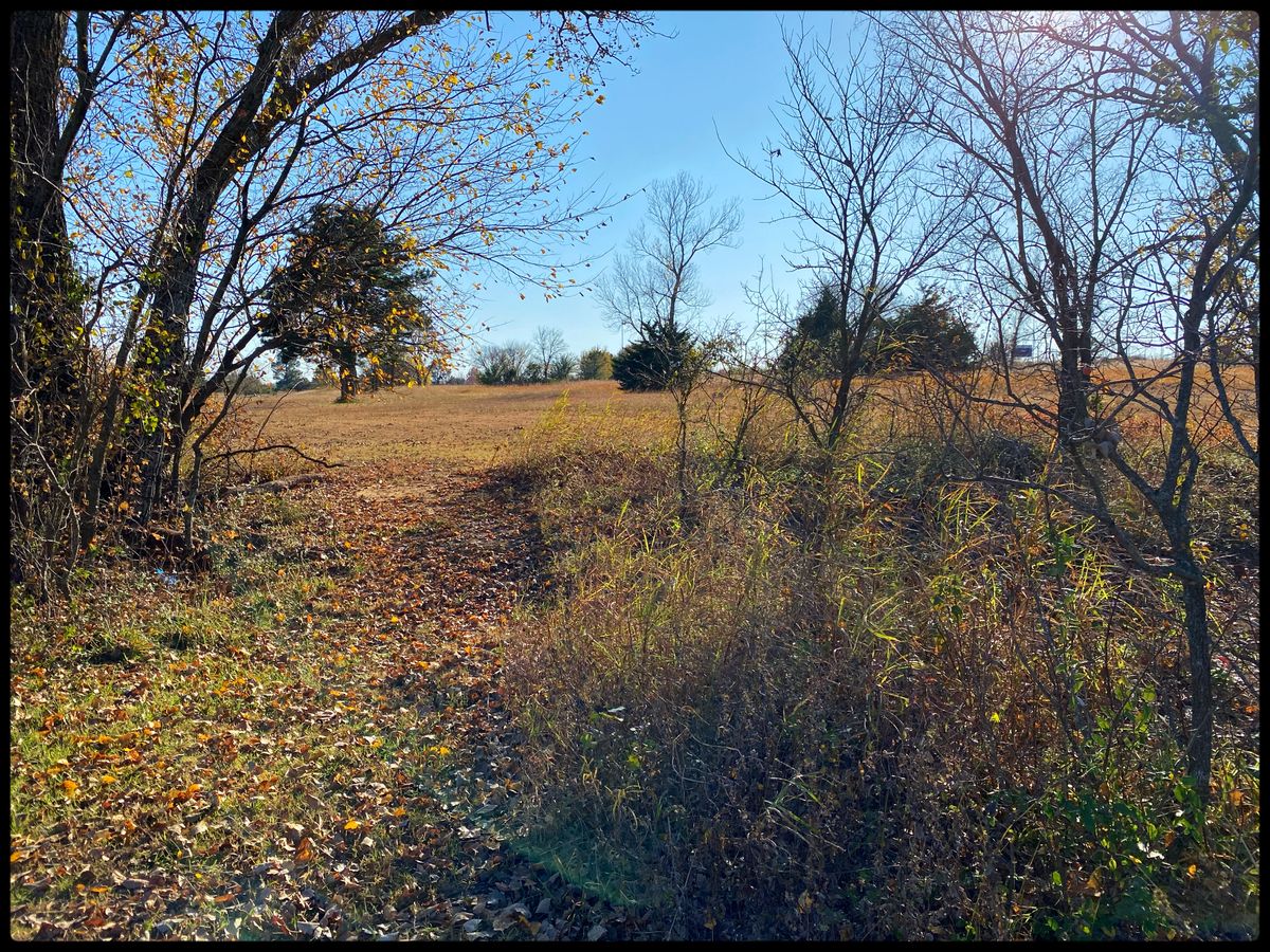 #14 fairway looking back to Tee