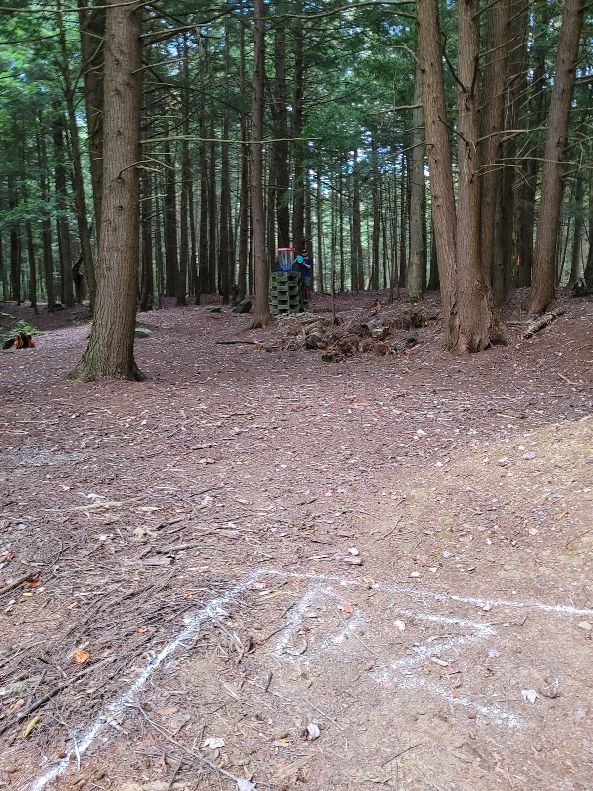 Drop zone of 12