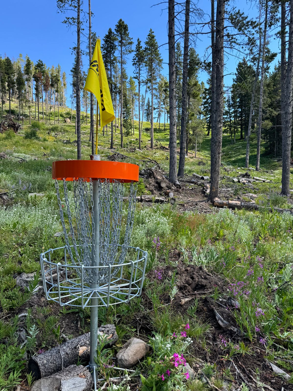 Double Black Diamond Course - Hole 16