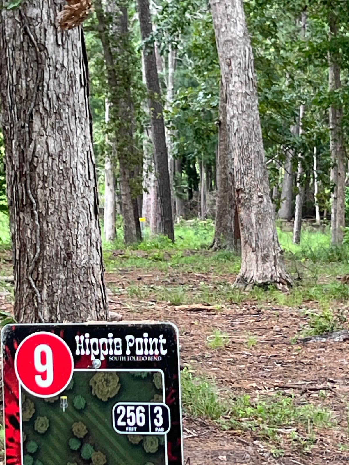 Tight line.