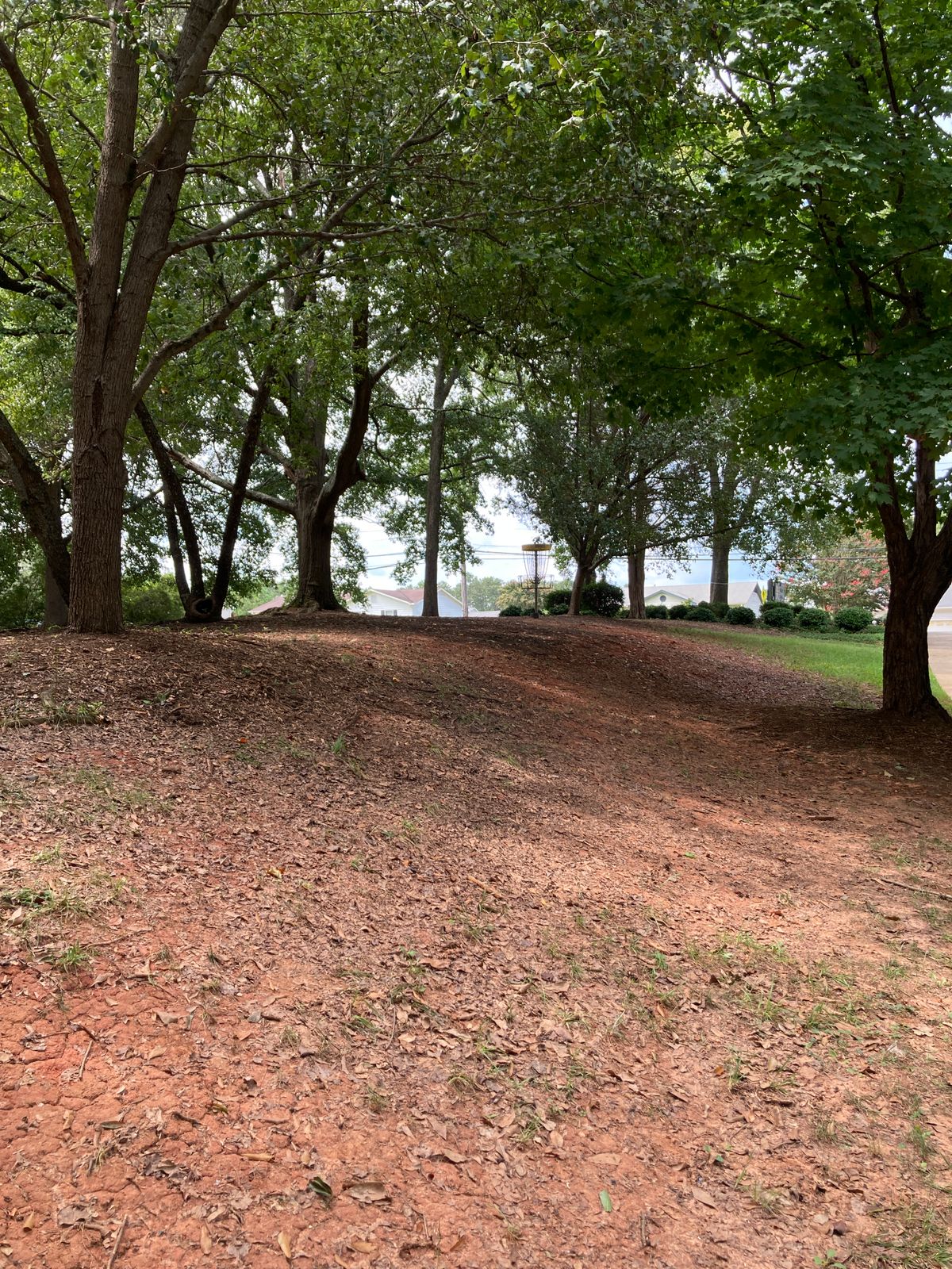 Hole 7 - basket on hill